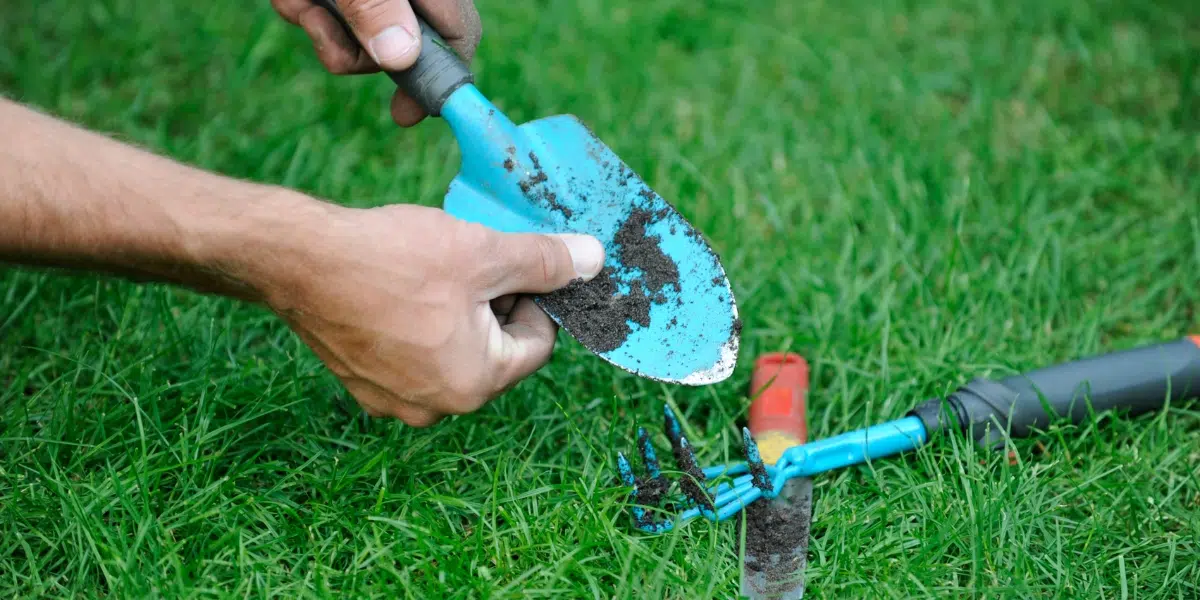 Zeg maar dag tegen roestige snoeischaren: deze simpele keukenhack redt je in 10 minuten!